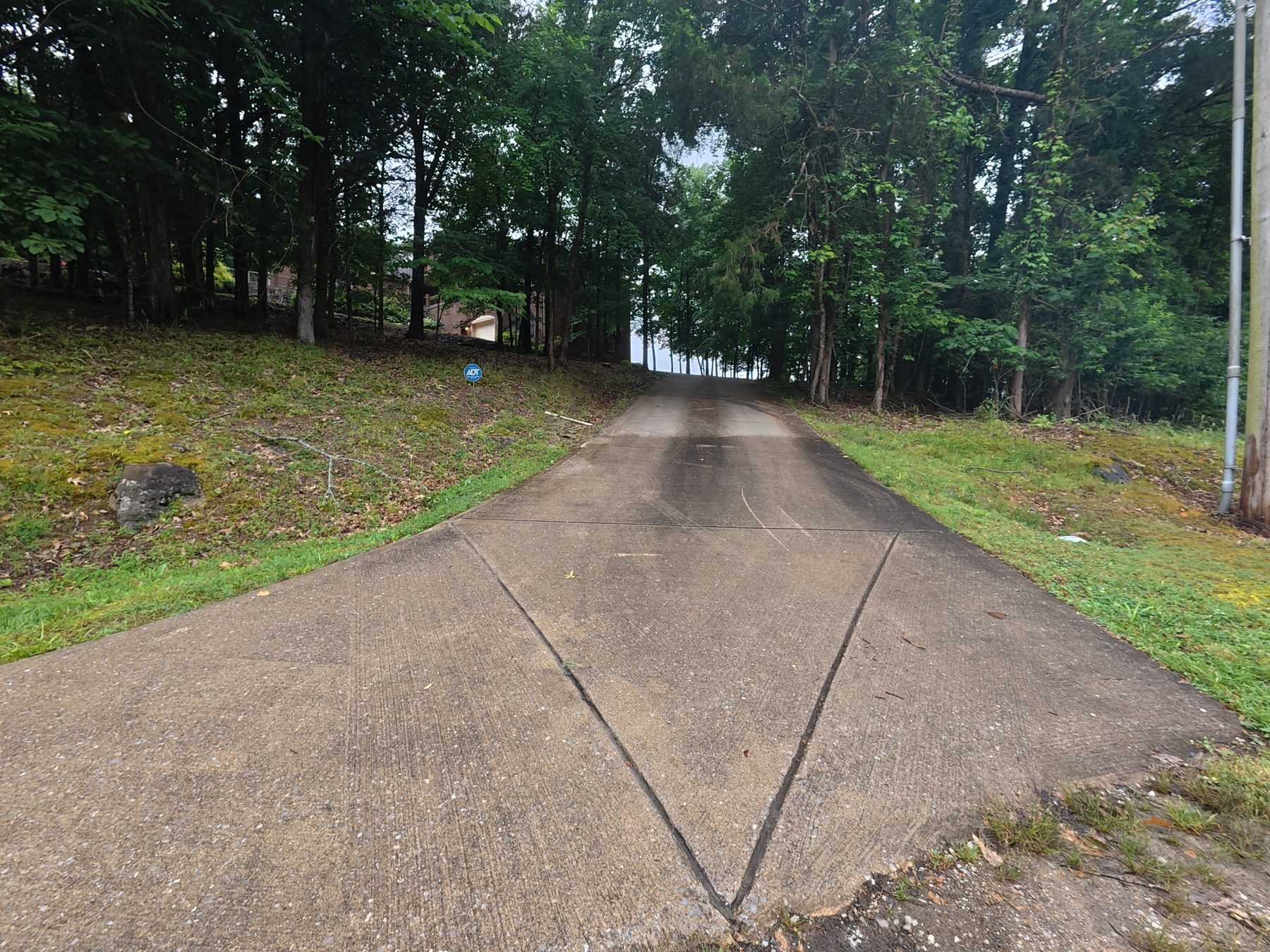 Dirty, algae-streaked driveway before Rapid Wash cleaning