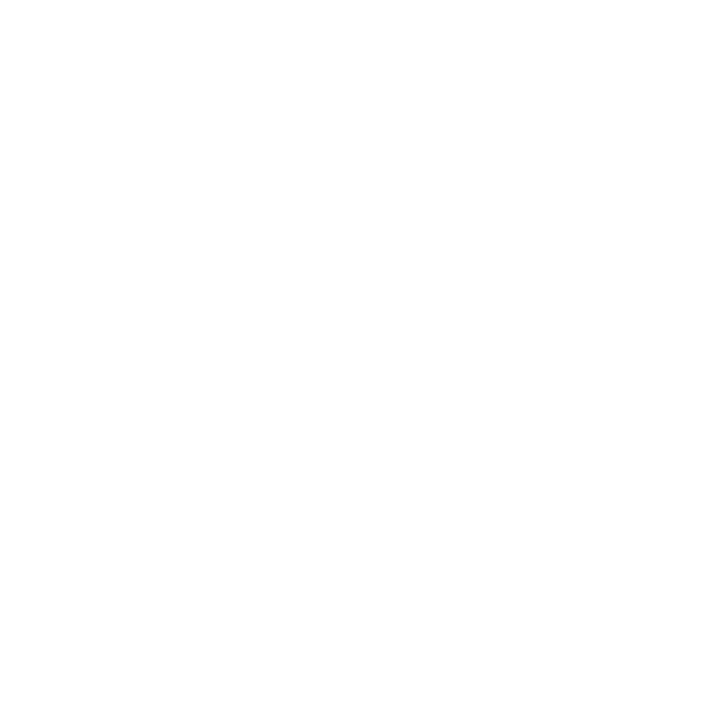 Rapid Wash logo