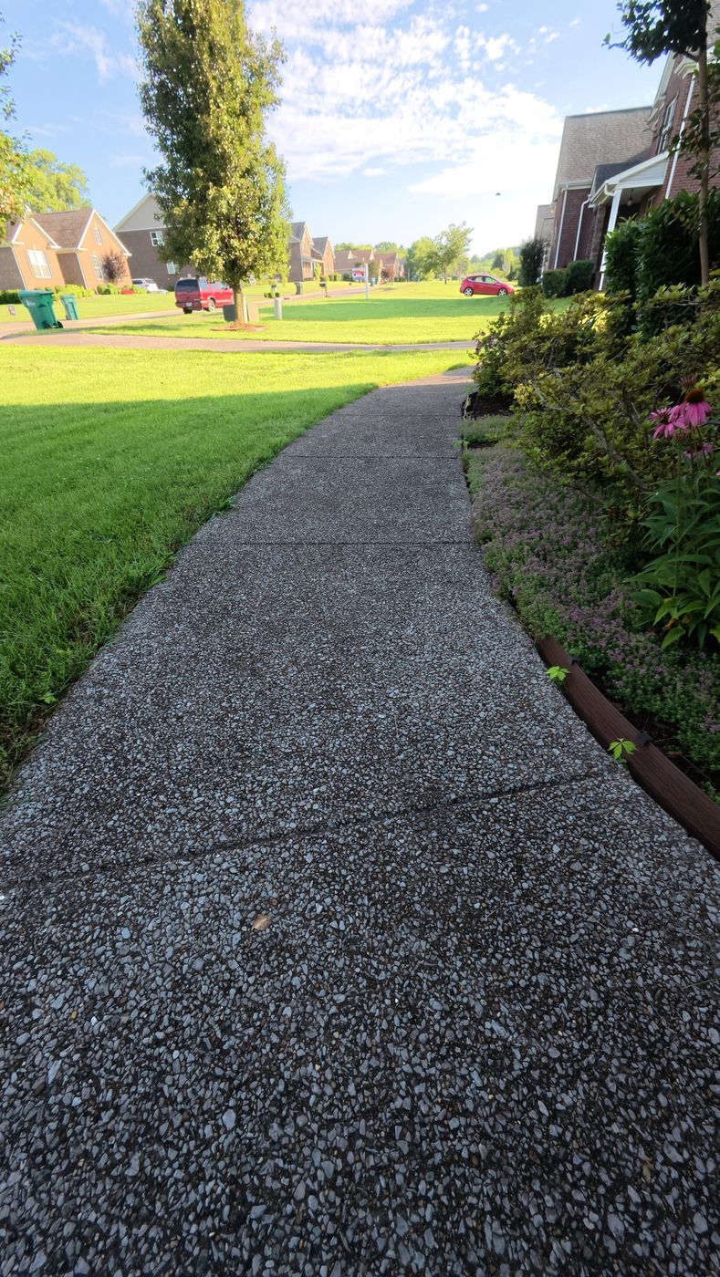 Freshly cleaned neighborhood sidewalk