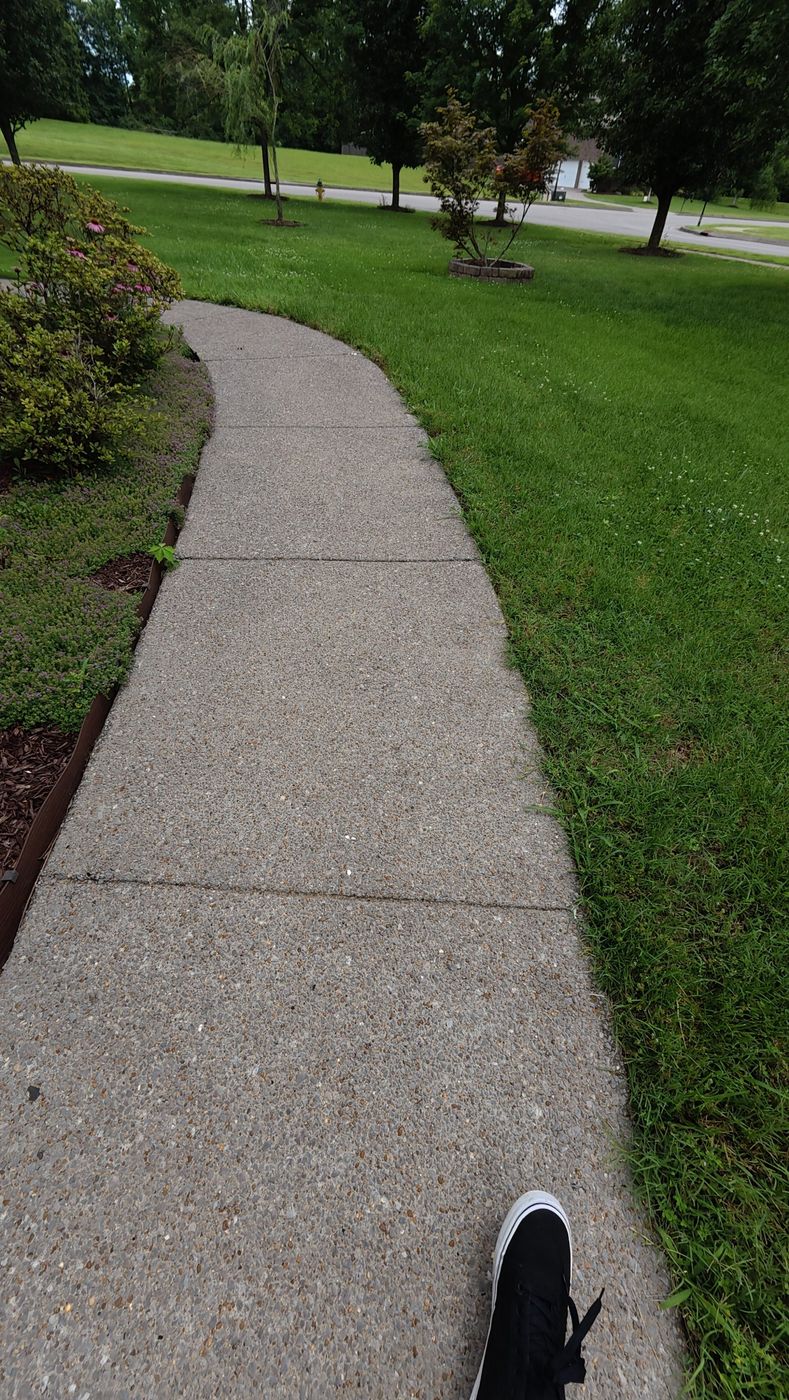 Clean walkway winding through a front lawn